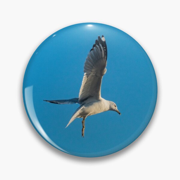 Item preview, Hovering Larus Californicus 4 designed and sold by KensLensDesigns.