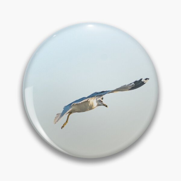 Item preview, Hovering Larus Californicus 3 designed and sold by KensLensDesigns.