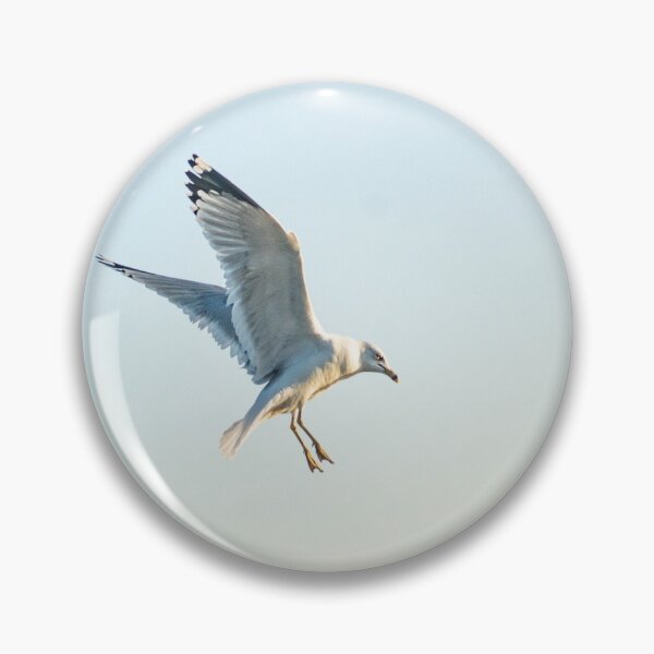 Item preview, Hovering California gull designed and sold by KensLensDesigns.