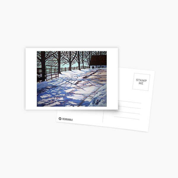 Snow patterns Postcard