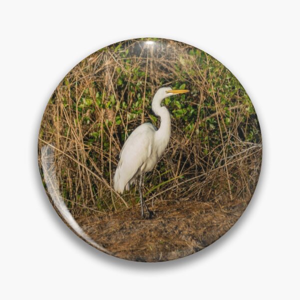 Item preview, Great white heron in Shallotte designed and sold by KensLensDesigns.