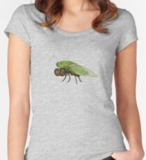 Cicada Playing a Squeezebox Women's Fitted Scoop T-Shirt