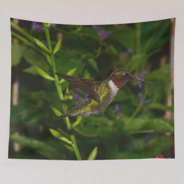 Item preview, Male Ruby-Throated Hummingbird in flight designed and sold by LJSparvero.