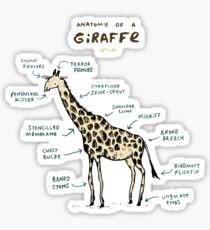 Anatomy of a Giraffe Sticker
