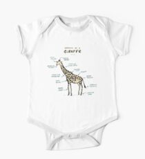 Anatomy of a Giraffe One Piece - Short Sleeve