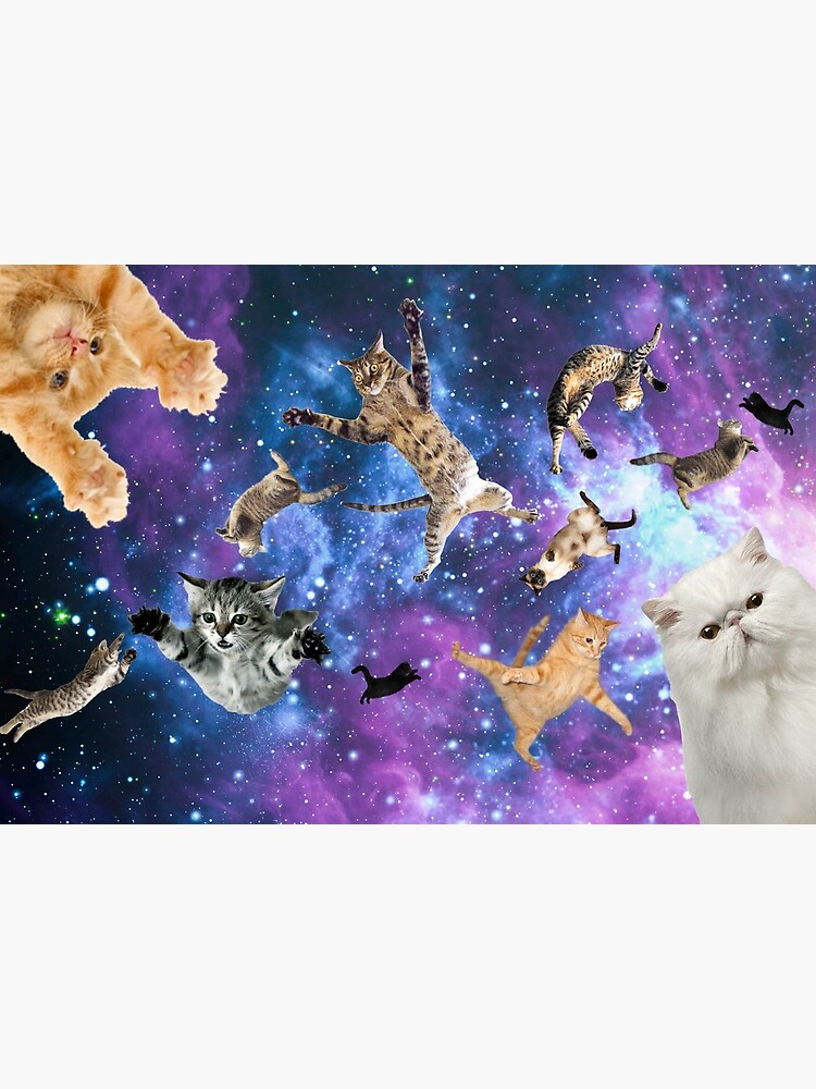 Space Cats by WonderFlux