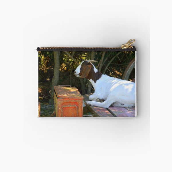 Item preview, A Goat And An Orange Box designed and sold by coffeebean.