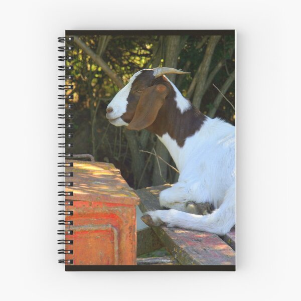 Item preview, A Goat And An Orange Box designed and sold by coffeebean.