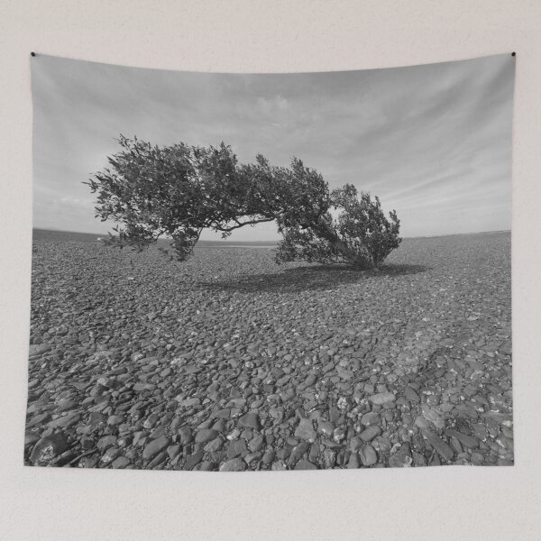 Item preview, Mangrove on the Flat designed and sold by photosbymia.