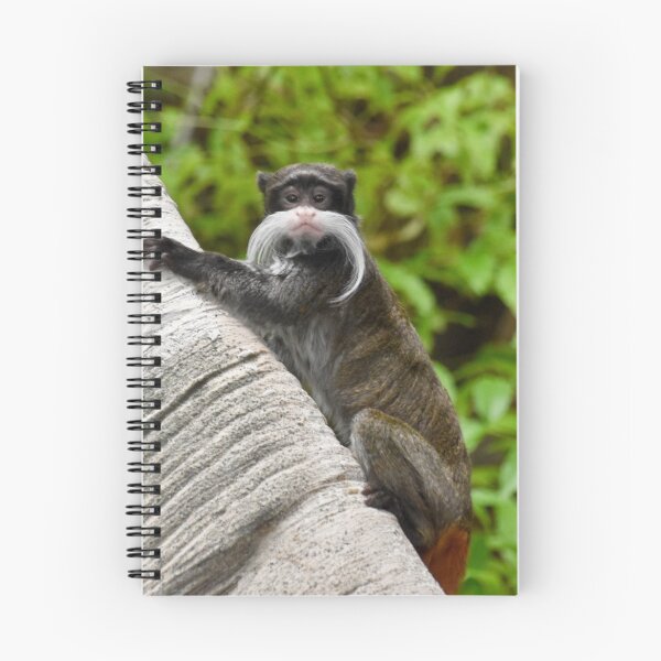 Item preview, Emperor Tamarin at the National Zoo designed and sold by Zoo and Nature Photography by Karie.