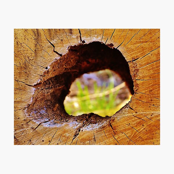 Item preview, A Hole in the Middle designed and sold by floofpictures.