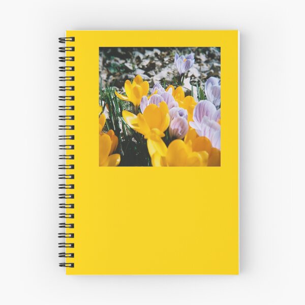 Item preview, Springtime Crocuses - Diana 120mm Photograph designed and sold by ztrnorge.