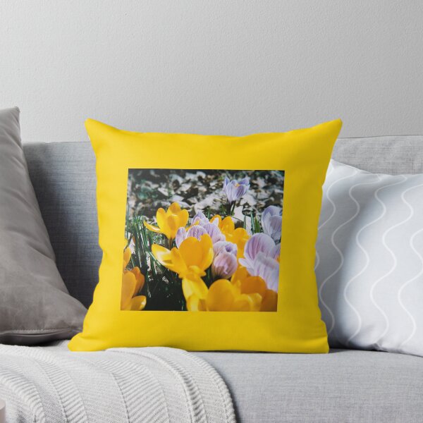 Item preview, Springtime Crocuses - Diana 120mm Photograph designed and sold by ztrnorge.