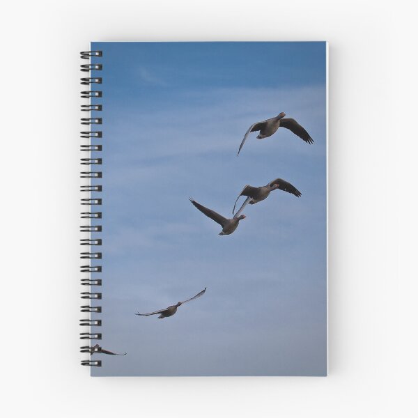 Item preview, Greylag Geese in flight designed and sold by Violaman.