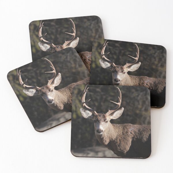 Item preview, A Large Buck Enjoying the Morning Sun designed and sold by MomentofPercep.