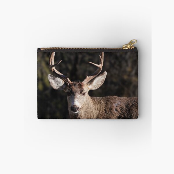 Item preview, A Large Buck Enjoying the Morning Sun designed and sold by MomentofPercep.