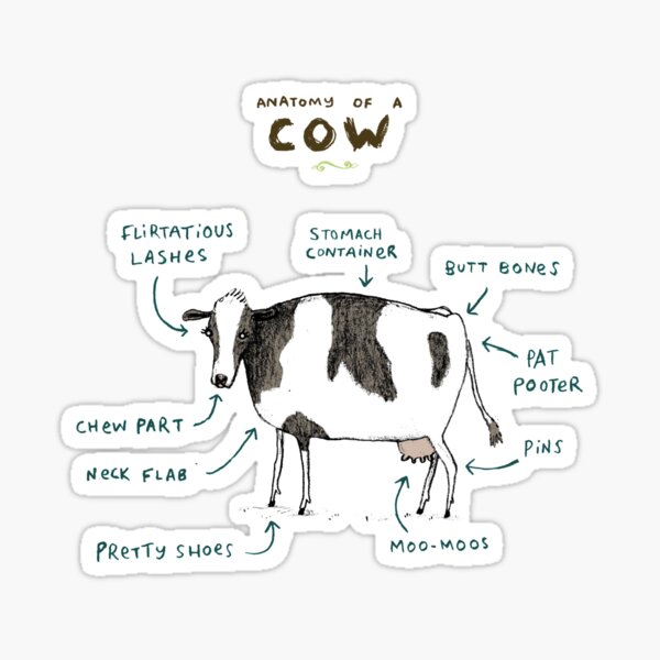 Item preview, Anatomy of a Cow designed and sold by SophieCorrigan.
