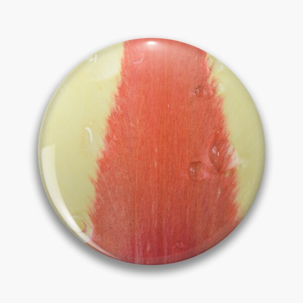 Item preview, Tulipa 'Gluck'  Kaufmanniana  Tulip designed and sold by Chris Burrows.