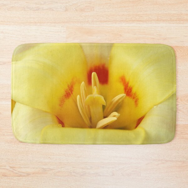 Item preview, Tulipa 'Gluck' Kaufmanniana Tulip designed and sold by Chris Burrows.