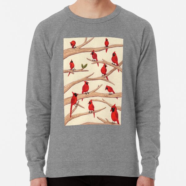 Cardinal new arrivals bird sweater