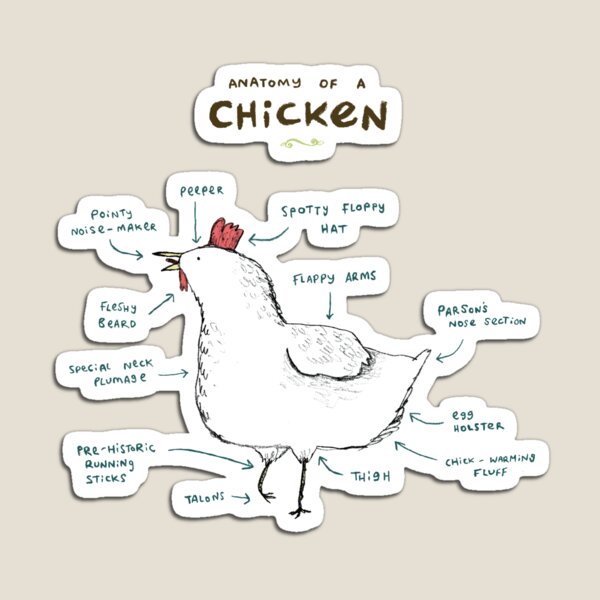 Item preview, Anatomy of a Chicken designed and sold by SophieCorrigan.