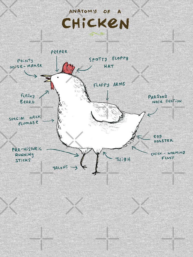 Anatomy of a Chicken by SophieCorrigan