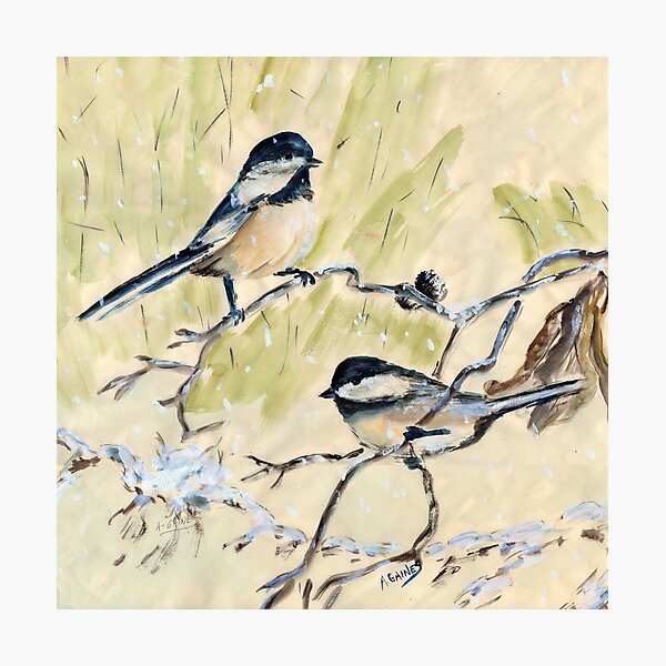 Two blackcap Chickadees Photographic Print