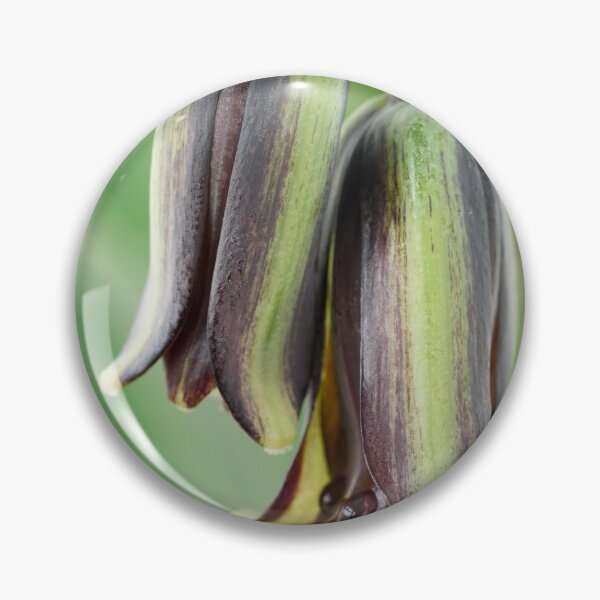 Item preview, Fritillaria elwesii  Fritillary  designed and sold by Chris Burrows.