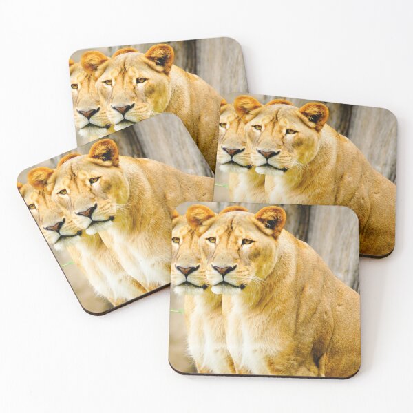 Item preview, kli double take designed and sold by pcfyi.