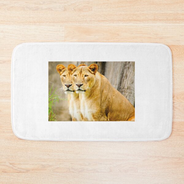 Item preview, kli double take designed and sold by pcfyi.