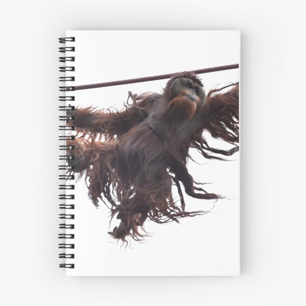 Item preview, Orangutan Kiko on the O-Line at the National Zoo designed and sold by Zoo and Nature Photography by Karie.