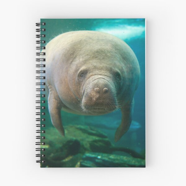 Item preview, West indian manatee designed and sold by Luis Sandoval.