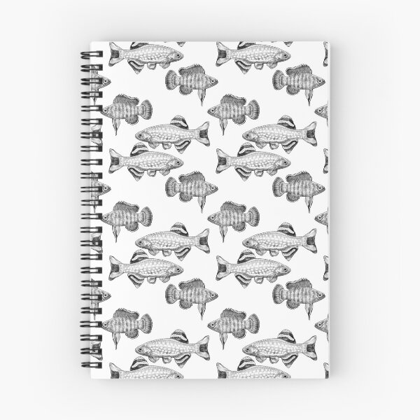 Item preview, Galaxy Rasbora and Scarlet Badis ballpoint illustration designed and sold by Hannah  Schmidt.