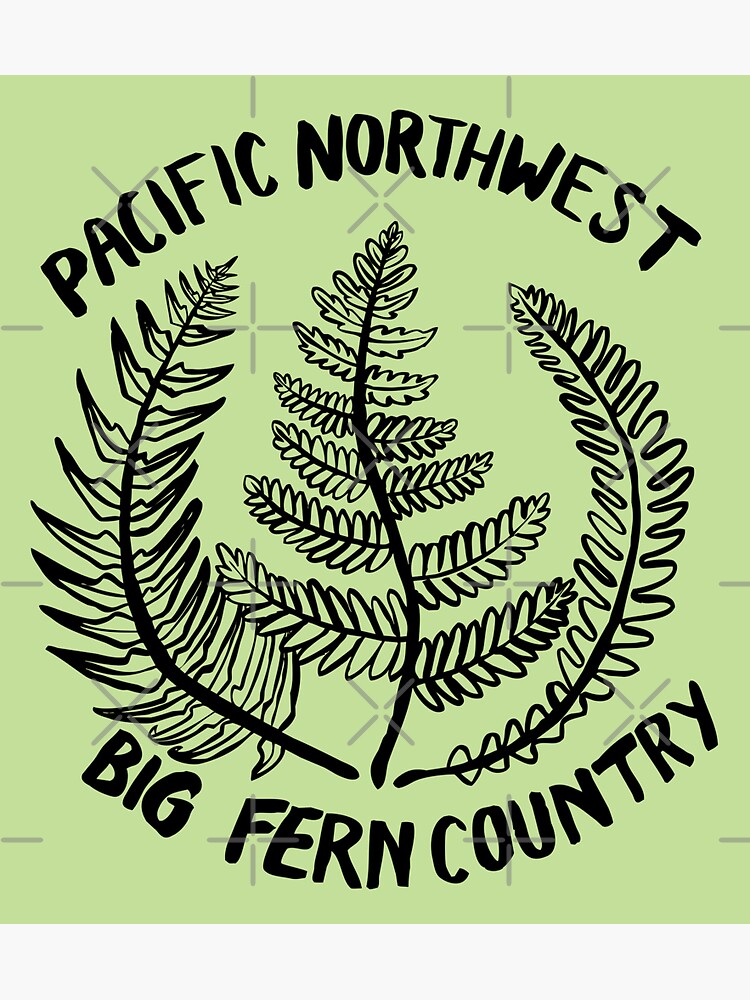 Pacific Northwest | Big Fern Country by craftordiy