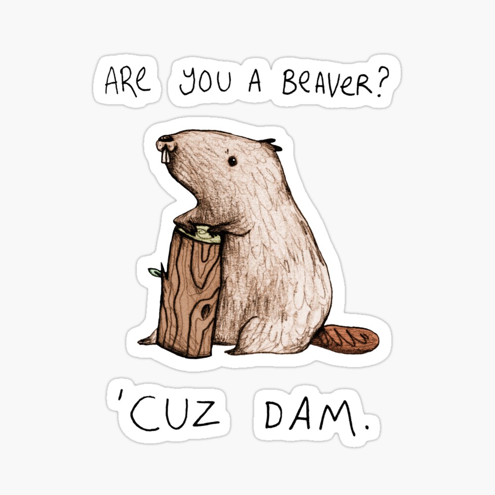 Dam Sticker