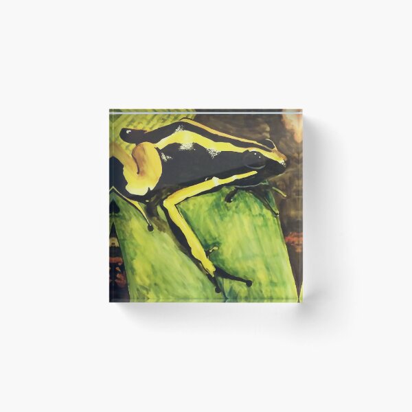 Item preview, Poison Dart Arrow Frog--Black and Yellow designed and sold by RJKpoyp.