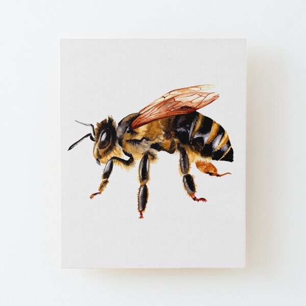 Watercolor Bee Painting Wood Mounted Print