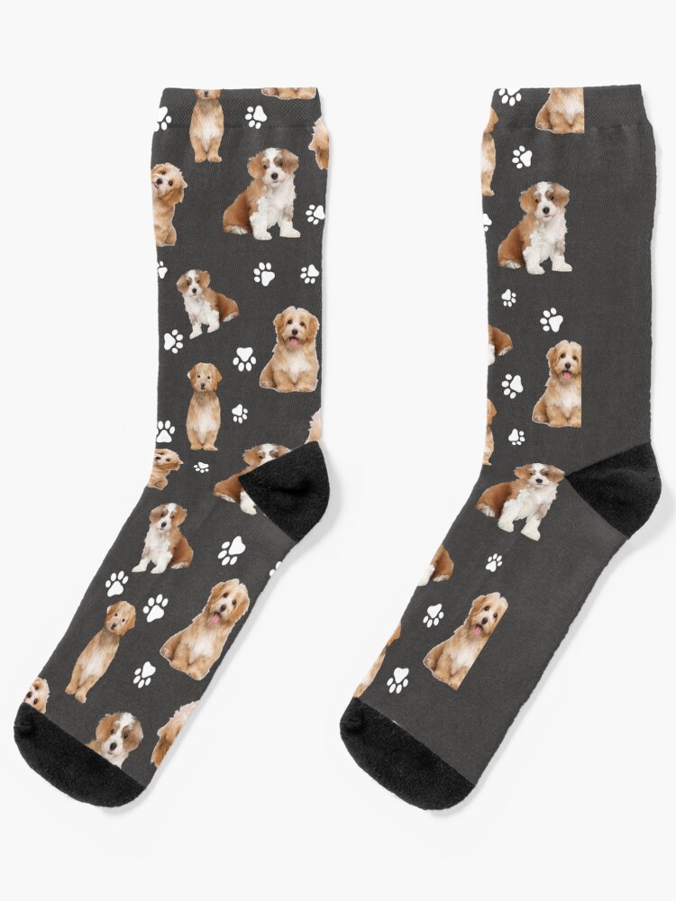 Havanese Socks Havanese Socks