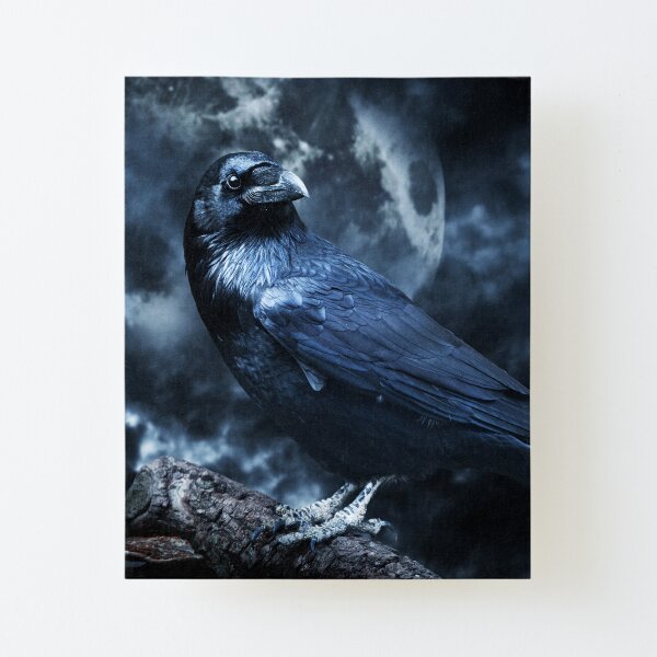 Odins Raven Basking in Moonlight" Mounted Print by NozzandtheBeast |  Redbubble