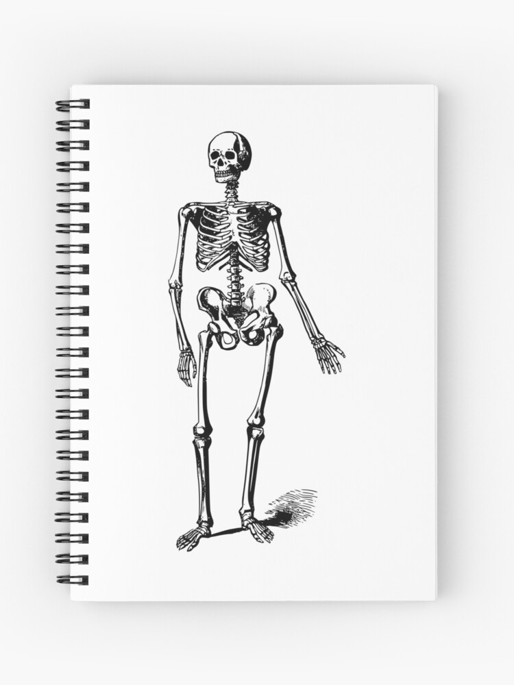 SKELETON DRAWING Notebook 