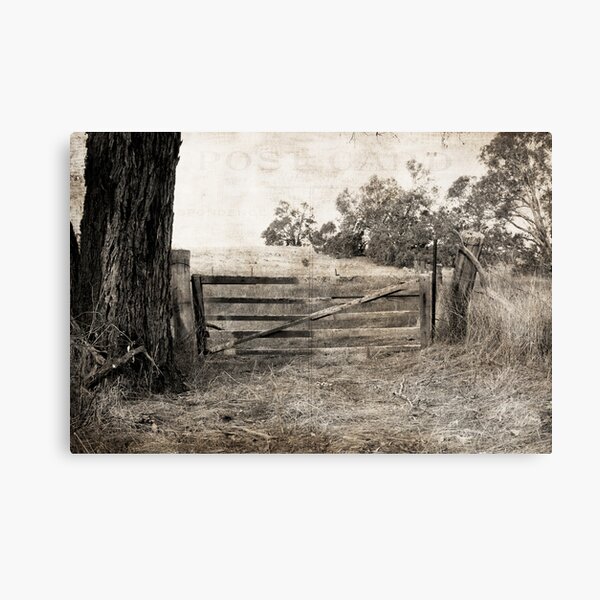 The gate Canvas Print