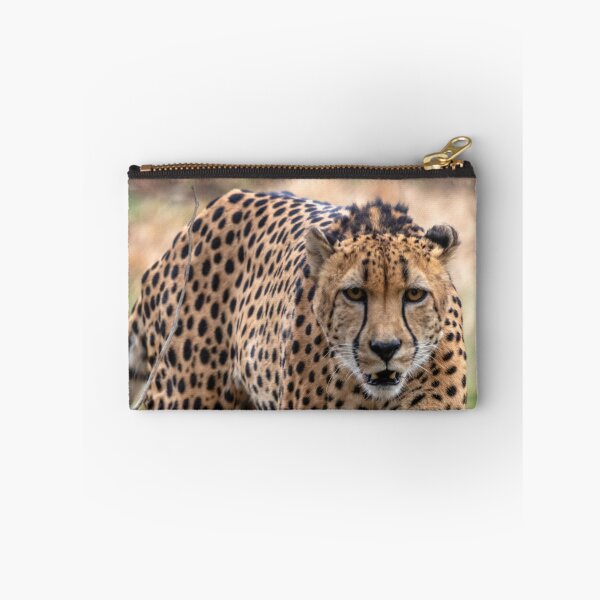 Item preview, Cheetah at the National Zoo designed and sold by Zoo and Nature Photography by Karie.