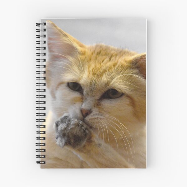 Item preview, Sand Cat at the National Zoo designed and sold by Zoo and Nature Photography by Karie.