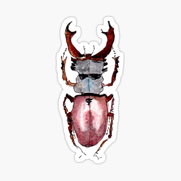 Stag Beetle Sticker