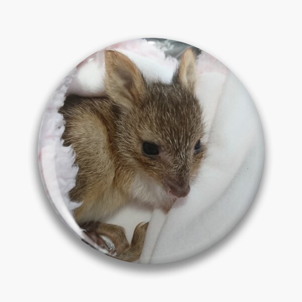Item preview, Peel Zoo: Archer the Rufous Bettong designed and sold by PeelZoo.