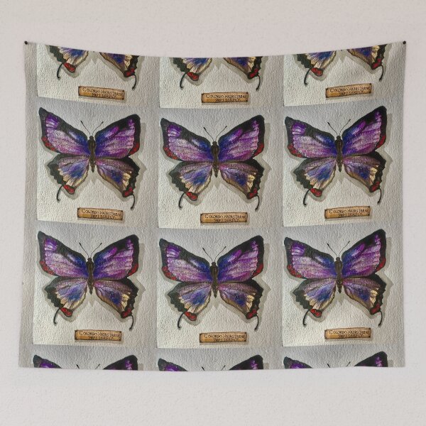 Item preview, Vivid Butterfly- Colorado Hairstreak Specimen  designed and sold by ElleVictoriaArt.
