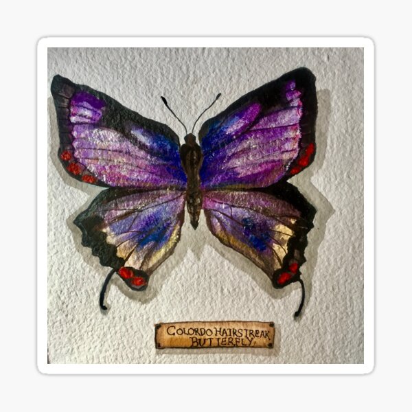 Item preview, Vivid Butterfly- Colorado Hairstreak Specimen  designed and sold by ElleVictoriaArt.