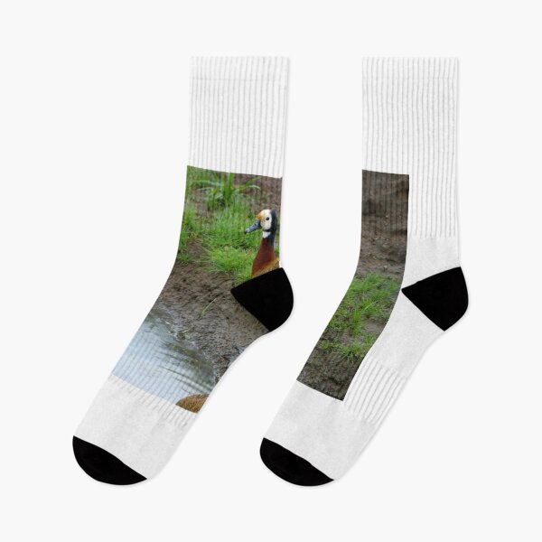 Item preview, African Duck designed and sold by Totallyalive.