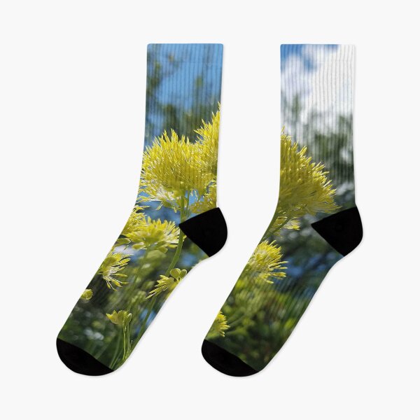 Item preview, Glowing yellow meadow-rue, Thalictrum flavum designed and sold by rvjames.