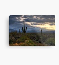 Where Heaven and Earth Meet Metal Print